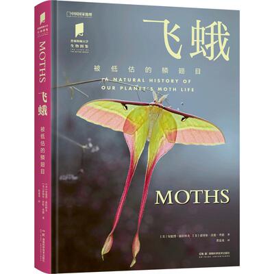飞蛾被低估的鳞翅目昆虫图鉴