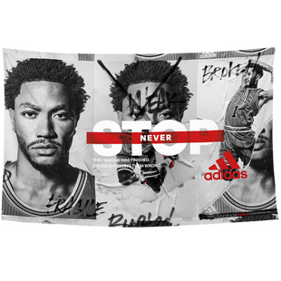 德里克罗斯Derrick Rose风城玫瑰周边装饰海报背景布挂布墙布挂毯