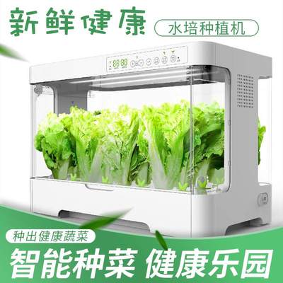 智能水培种植箱无土栽培蔬菜设备 家庭室内芽苗菜种植机 51好多菜