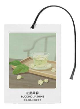 气味图书馆空间香氛卡片车载香片汽车香氛香卡衣柜持久留香