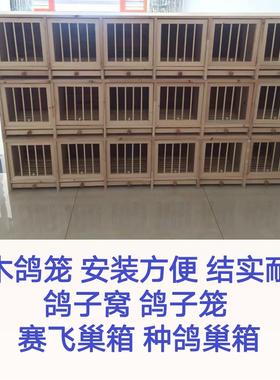 鸽子笼 鸽子巢箱 阳台鸽舍 鸽窝鸽巢配对笼 实木鸽笼信鸽用品用具