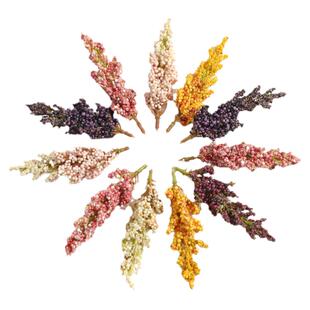 仿真麦穗浆果把束 diy手工微观造景花环材料家居布景装饰拍摄道具