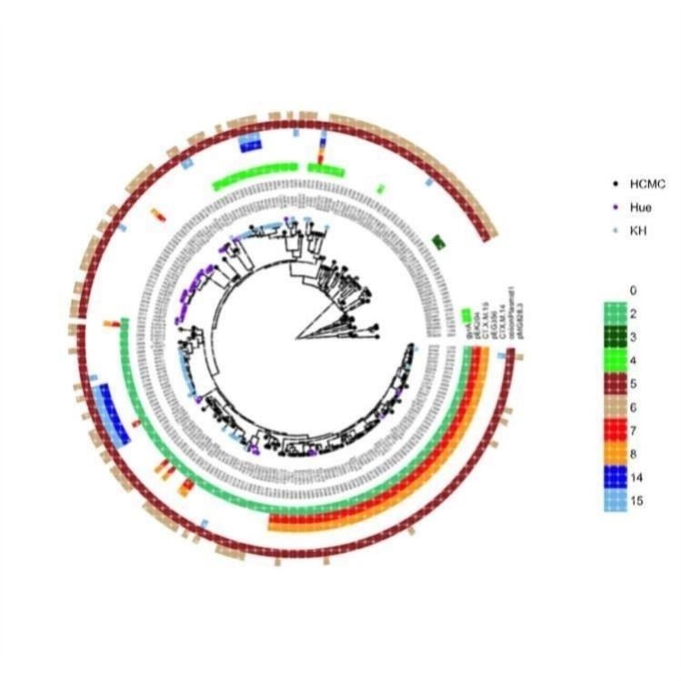 甲基化芯片数据分析代做主成分分析(PCA)生物信息学表观遗传学