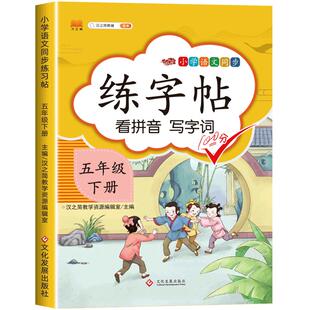 五年级下册练字帖每日一练语文同步字帖练字人教版部编版钢笔字帖小学生5年级下册写字帖小学生专用练习儿童硬笔书法写字表 汉之简