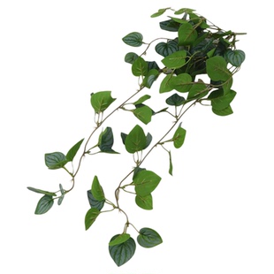 仿真植物绿植盆栽迷你挂壁花艺绿萝叶垂吊装饰叶子绿叶短藤条藤蔓