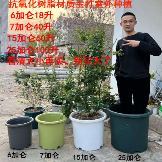 加厚特大号7/15/25四季加仑花盆树脂塑料蓝莓树月季控根青山透气