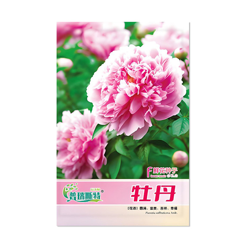普瑞斯特牡丹花种子花卉种子