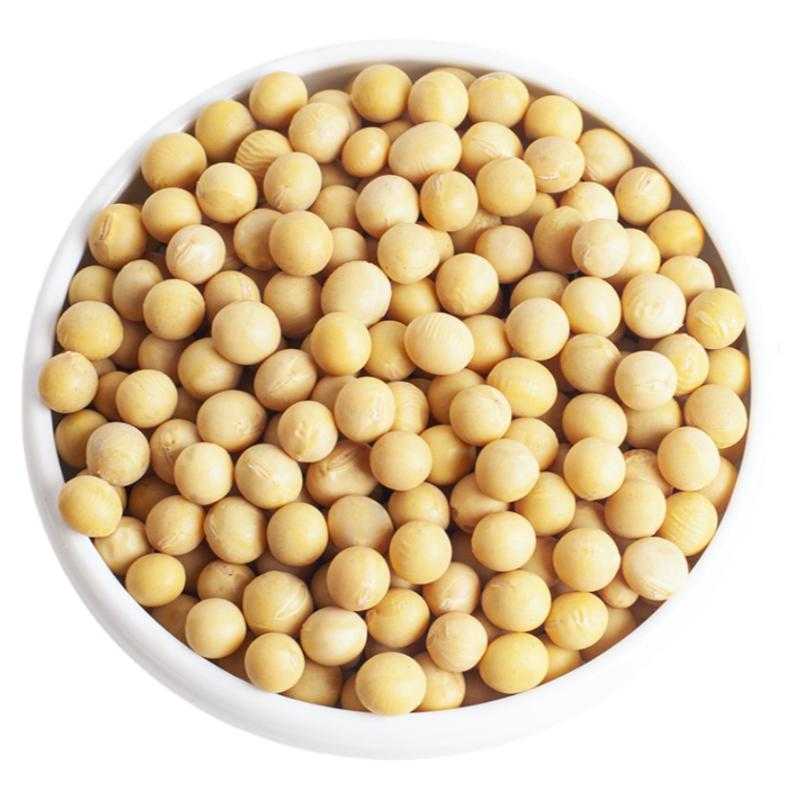 农家小黄豆纳豆专用打豆浆发豆芽