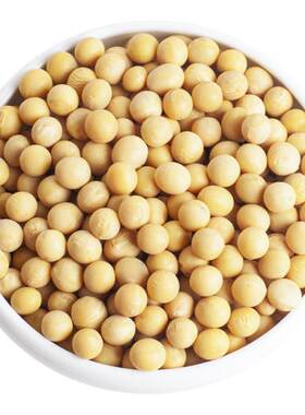 农家小黄豆纳豆专用打豆浆发豆芽