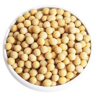 逸得农品小黄豆打豆浆发豆芽做纳豆沂蒙山农家自种传统品种笨黄豆