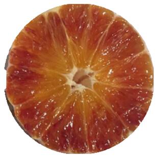 实图无修重庆长寿湖血脐橙塔罗科现摘现发果园直发包邮水果