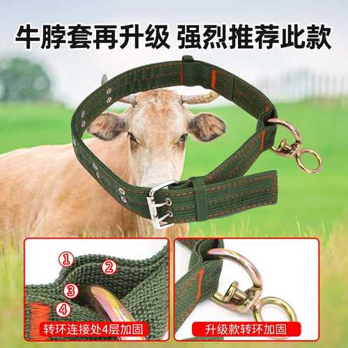 栓牛绳子牛用脖尼龙栓加厚扣牛牛套脖用养牛场项圈牛羊耐磨套转绳