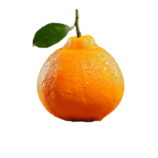 四川春见耙耙柑粑粑柑时令新鲜水果当季整箱正宗丑柑橘子10斤桔子