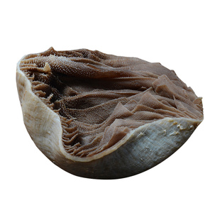 整个毛肚火锅新鲜牛肚包邮带底板黑毛肚牛百叶千层肚商用火锅食材