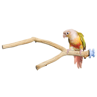 青松宠鹦鹉花梨木站杆天然原木树枝虎皮牡丹玄凤站架鸟笼造景秋千