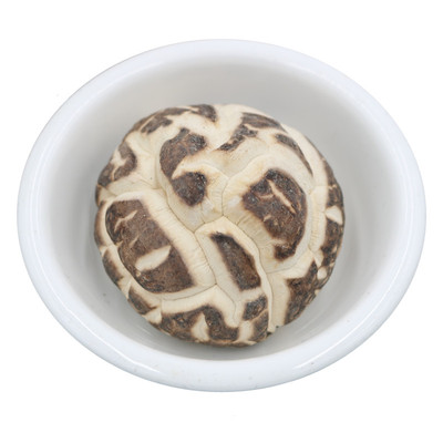 东北长白山椴木大花菇