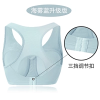 Haiwu Blue [Back Decuction]