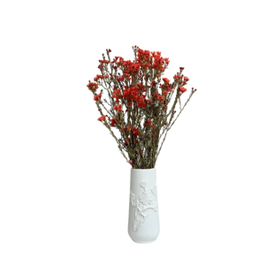 澳洲腊梅鲜花云南基地直发真花红色年宵花喜庆新年氛围水养鲜切枝