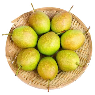 山西红香酥梨9斤当季现摘正宗脆甜梨子酥梨香梨孕妇新鲜水果整箱