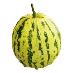 老品种面瓜种籽黄皮黑皮花皮面瓜种子露地生吃甜瓜种籽香瓜四季播