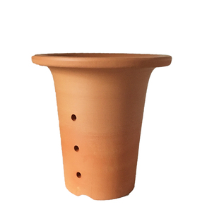 风兰花盆小红陶盆风兰富贵兰似栀子花香附生兰花矮种兰花洋小盆景