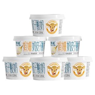 【欧亚娟姗奶皮子酸奶6杯装】风味酸奶甄选娟姗优质奶源