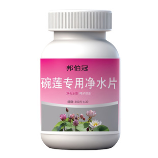 碗莲净水片荷花鲜花保鲜消毒片水培植物专用净水片除臭杀菌净水剂