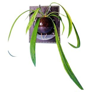 【(银色)豪镶超能力挂板】花烛自吸水亚克力种植板鹿角蕨板植神器