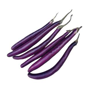 杭茄1号线茄子苗紫红长茄苗高产抗病春秋四季种植菜园庭院蔬菜苗