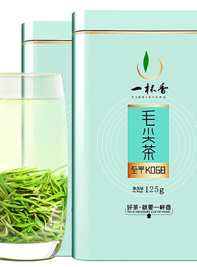 2026新茶一杯香毛尖信阳绿茶250g