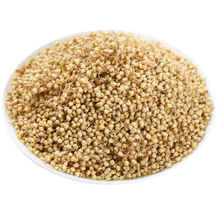 谷芽500g中药材炒谷芽谷牙生谷芽泡水泡茶另售炒麦芽山楂鸡内金