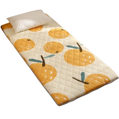 加厚地铺睡垫榻榻米褥子