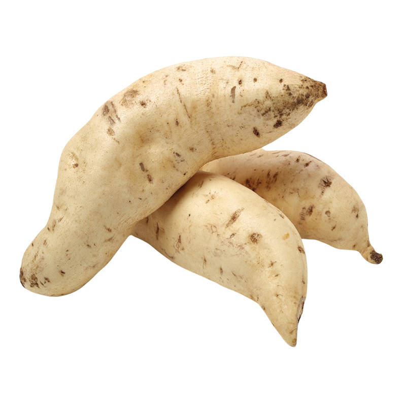 正宗白皮人参薯粉面板栗红薯
