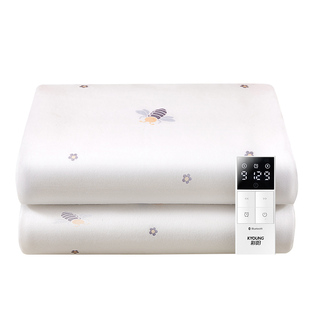 彩阳新款智能电热毯电褥子单人双人双控调温家用正品官方旗舰店