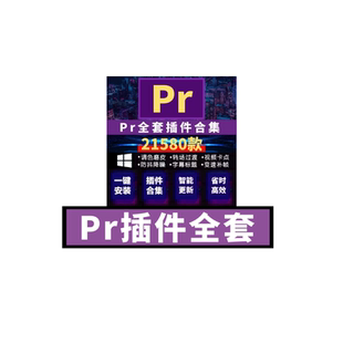 Pr插件全套转场字幕调色磨皮降噪分屏抠像特效汉化合集一键安装包