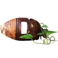 廣西荔浦芋頭5斤產(chǎn)地直發(fā)