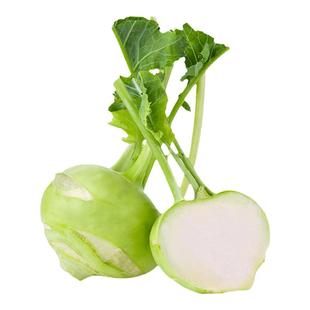 青苤蓝种子绿苤蓝种籽大头菜种籽做咸菜甘蓝紫丕蓝疙瘩球茎苤兰籽