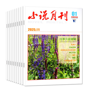 小说月刊杂志2026年1/2月（全年订阅/2024/2025年可选）微型小说选刊小小说文学文摘故事中长篇短篇非过刊
