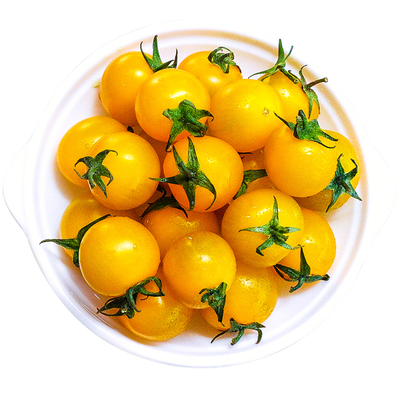 黄色樱桃番茄高糖纯甜高产