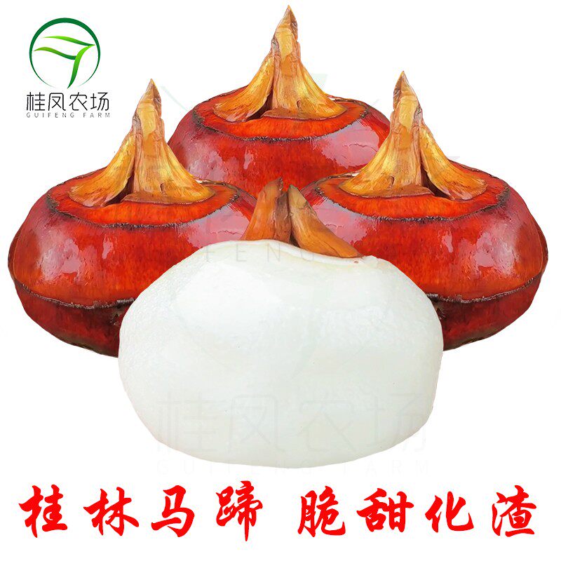 桂凤农场顺丰正宗桂林荔浦马蹄荸荠大果脆甜化渣农家新鲜现挖带泥
