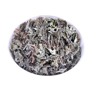 野生溪黄草新鲜干货溪黄茶溪王草回甘纯叶无杂广东霉茶藤茶溪黄茶