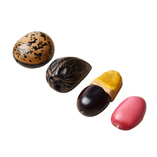 多宝菩提散珠DIY材料包大颗菩提籽车挂材料包十八籽手串佛珠配件