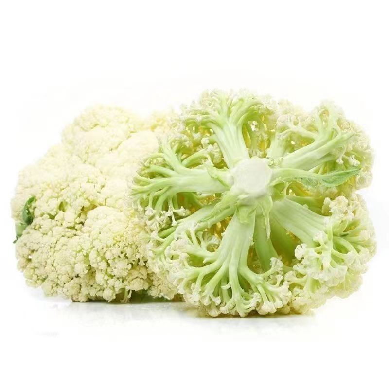 松花菜苗子松花菜秧苗四季蔬菜苗