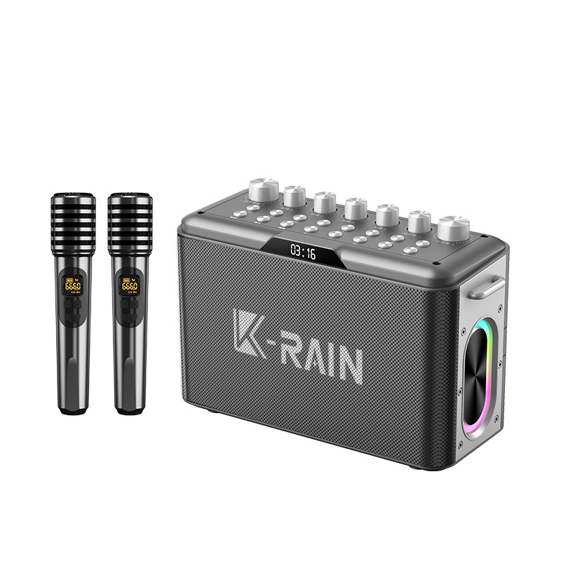 柏林之声大功率600W户外K歌音响二胡蓝牙乐器音箱大音量扩音器3