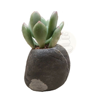 鹅卵石花盆天然石头花瓶花器摆件大号铜钱草多肉水培植物种植包邮