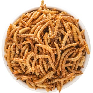 鹦鹉面包虫干黄粉虫牡丹虎皮玄凤专用鸟粮八哥芦丁鸡饲料零食鸟食