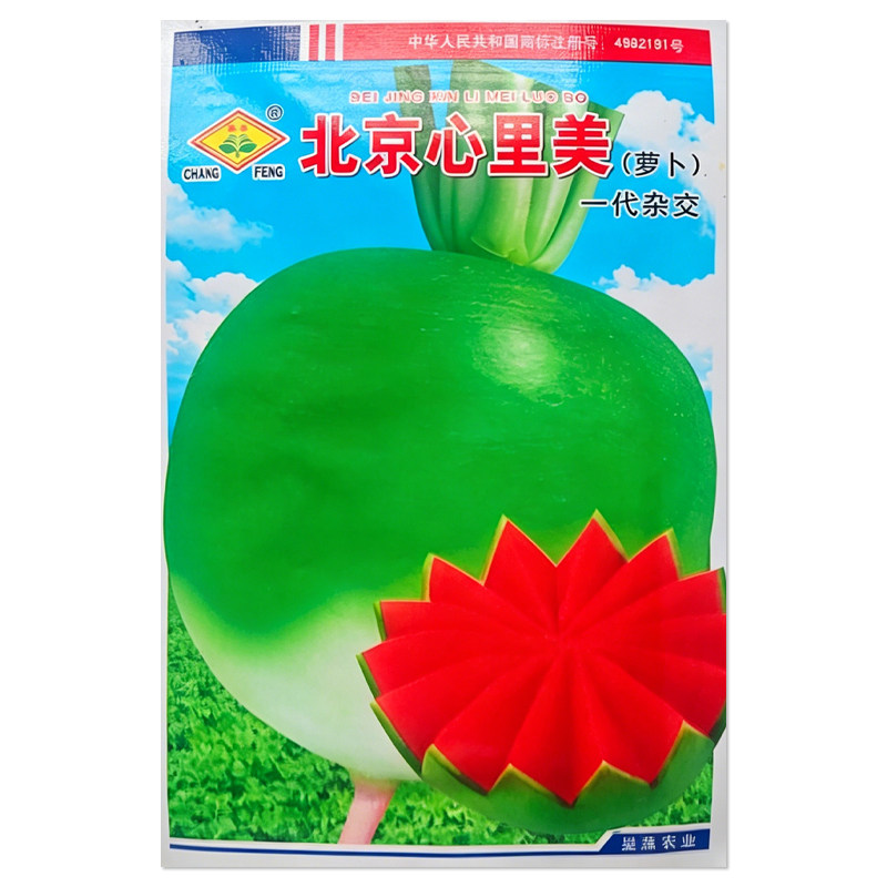 心里美萝卜种子蔬菜种子籽