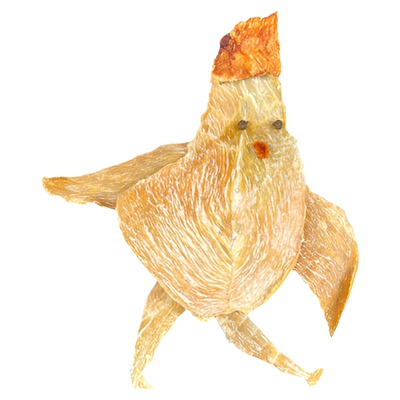 鸡胸肉鸡胸肉干IMOC健身烘干