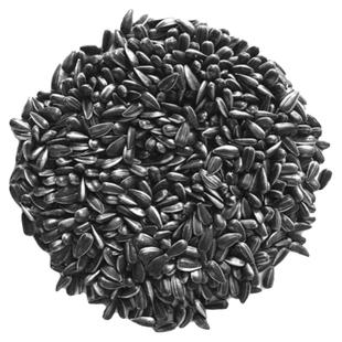 小油葵新黑珍珠小瓜子葵华子油葵籽鹦鹉鸟食仓鼠粮鸽粮黑瓜子鸟粮