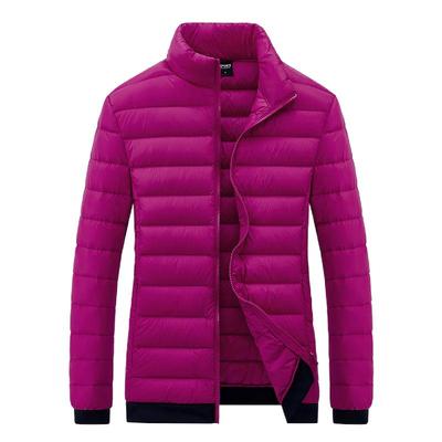 2025年新款冬季羽绒服冲锋衣内胆